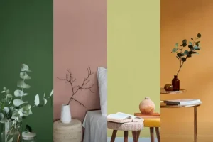warna cat nippon paint untuk ruang tamu